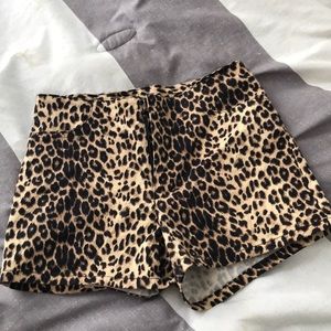 cheetah print shorts!!
